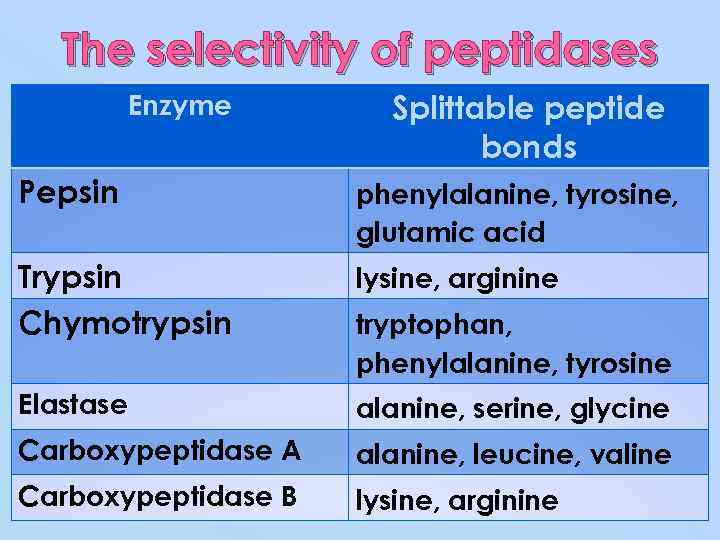 The selectivity of peptidases Enzyme Splittable peptide bonds Pepsin phenylalanine, tyrosine, glutamic acid Trypsin