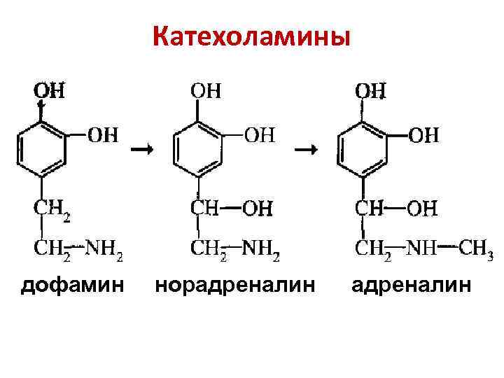 Катехоламины дофамин норадреналин 