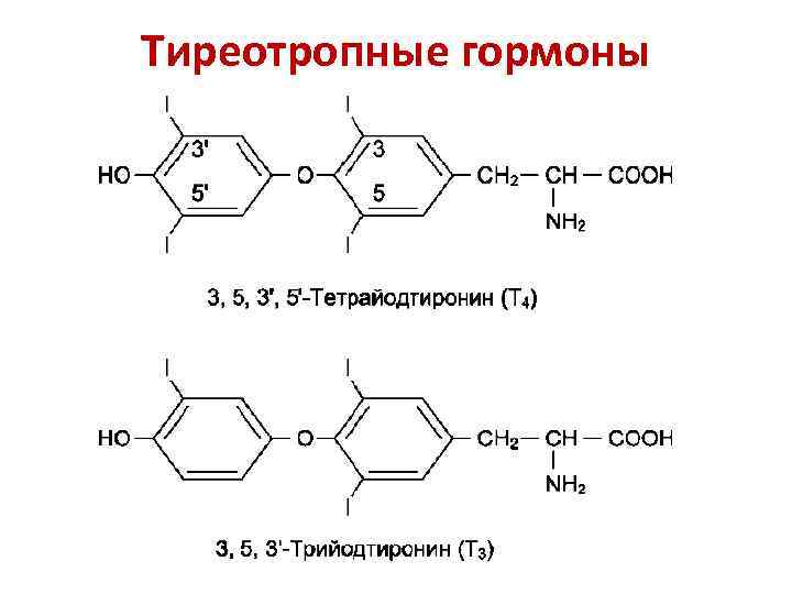 Гормоны щитовидной железы презентация по биохимии