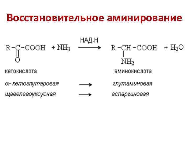 Восстановительное аминирование 