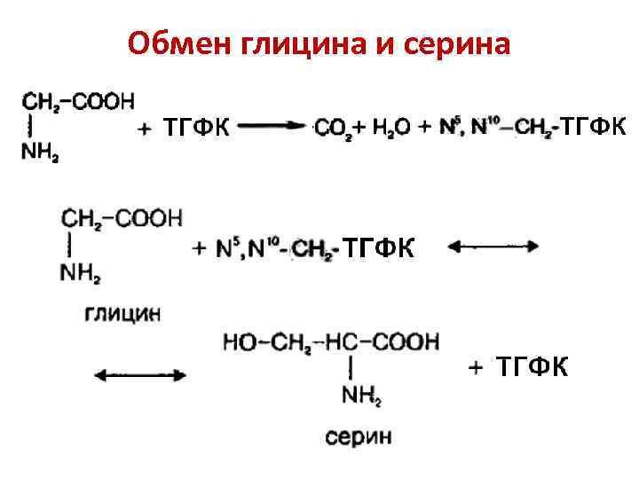 Обмен глицина и серина 
