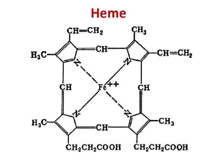 Heme 