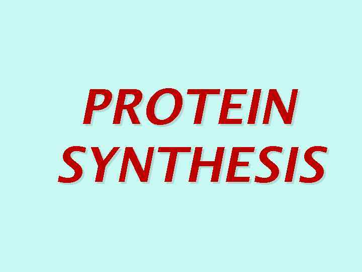 PROTEIN SYNTHESIS 