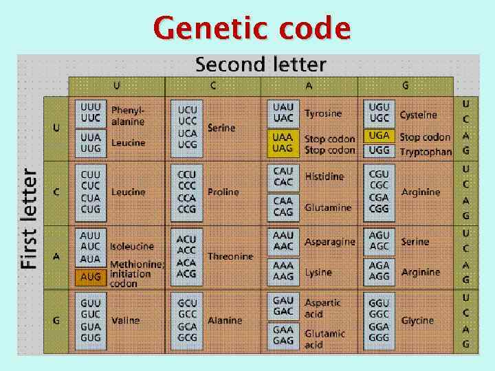 Genetic code 