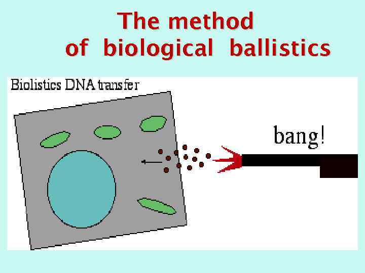 The method of biological ballistics 