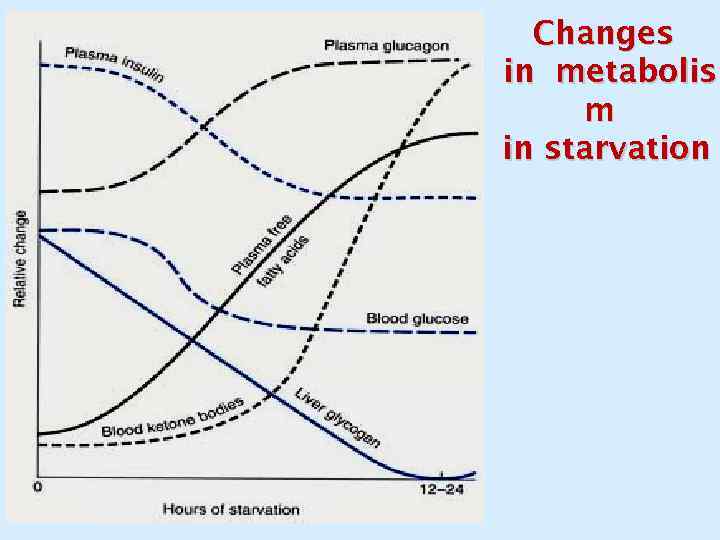 Changes in metabolis m in starvation 