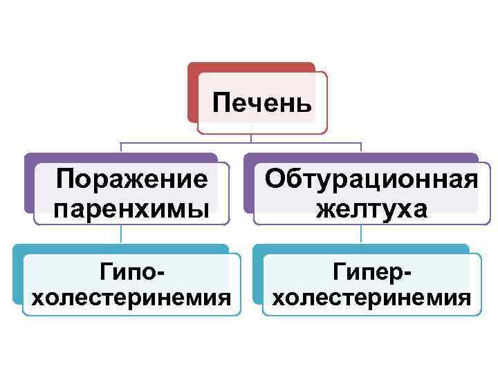 Печень Поражение паренхимы Обтурационная желтуха Гипохолестеринемия Гиперхолестеринемия 