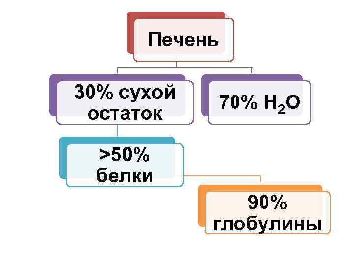 Печень 30% сухой остаток 70% H 2 O >50% белки 90% глобулины 
