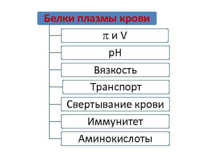 Белки плазмы крови и V р. Н Вязкость Транспорт Свертывание крови Иммунитет Аминокислоты 