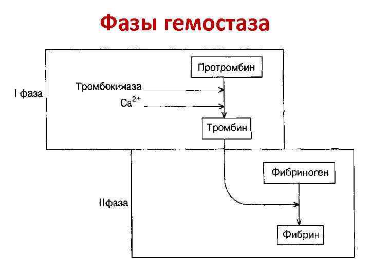 Фазы гемостаза 