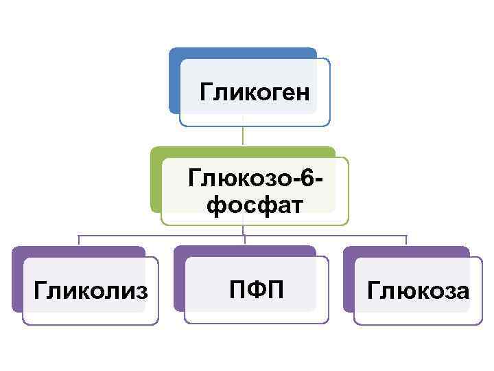 Гликоген Глюкозо-6 фосфат Гликолиз ПФП Глюкоза 