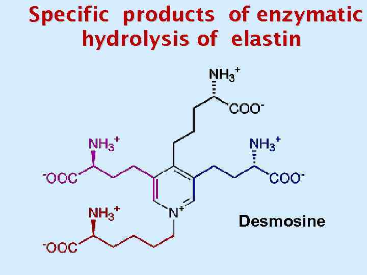 Specific products of enzymatic hydrolysis of elastin Desmosine 