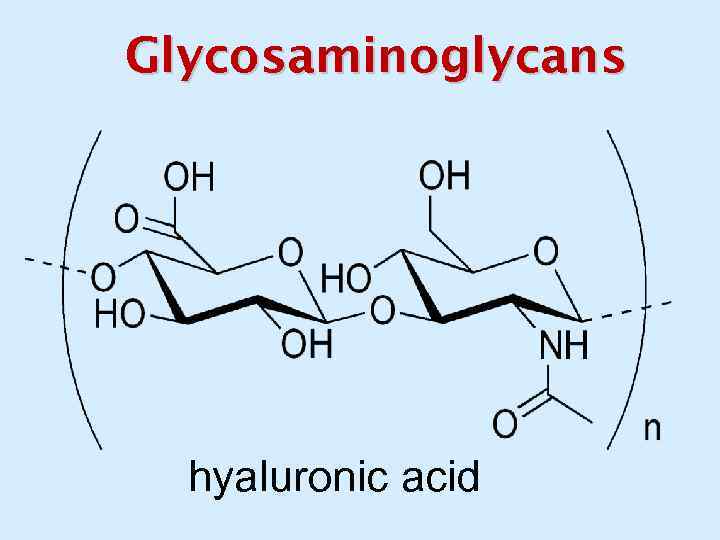 Glycosaminoglycans hyaluronic acid 