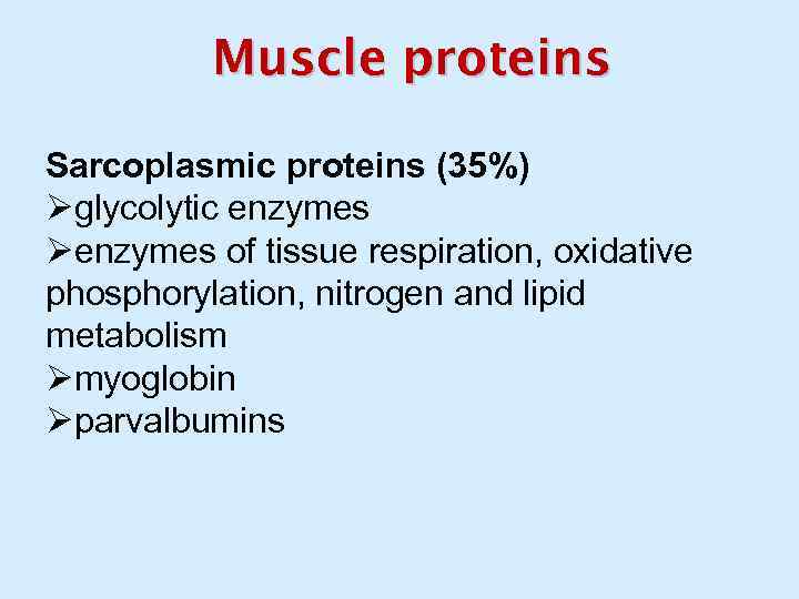 Muscle proteins Sarcoplasmic proteins (35%) Øglycolytic enzymes Øenzymes of tissue respiration, oxidative phosphorylation, nitrogen
