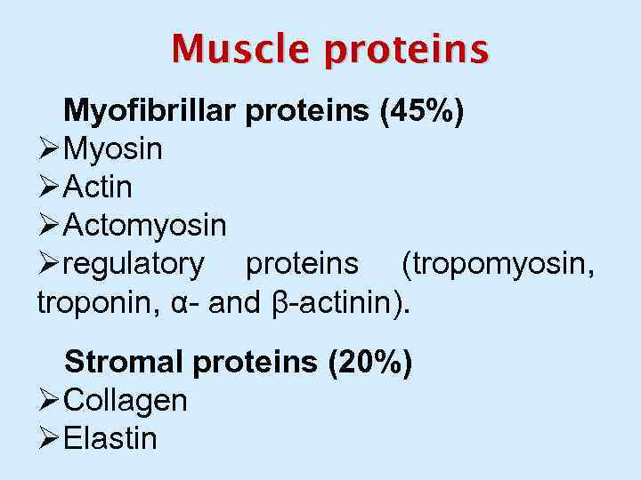 Muscle proteins Myofibrillar proteins (45%) ØMyosin ØActomyosin Øregulatory proteins (tropomyosin, troponin, α- and β-actinin).