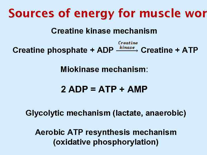 Sources of energy for muscle work wor Creatine kinase mechanism Creatine phosphate + ADP