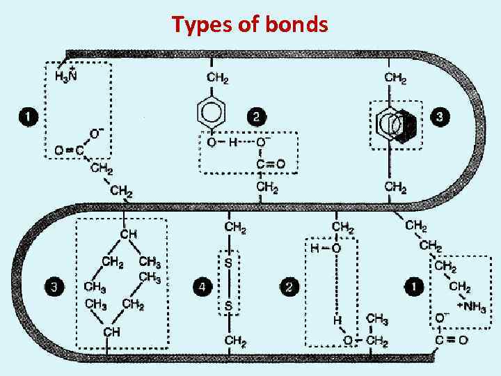 Types of bonds 
