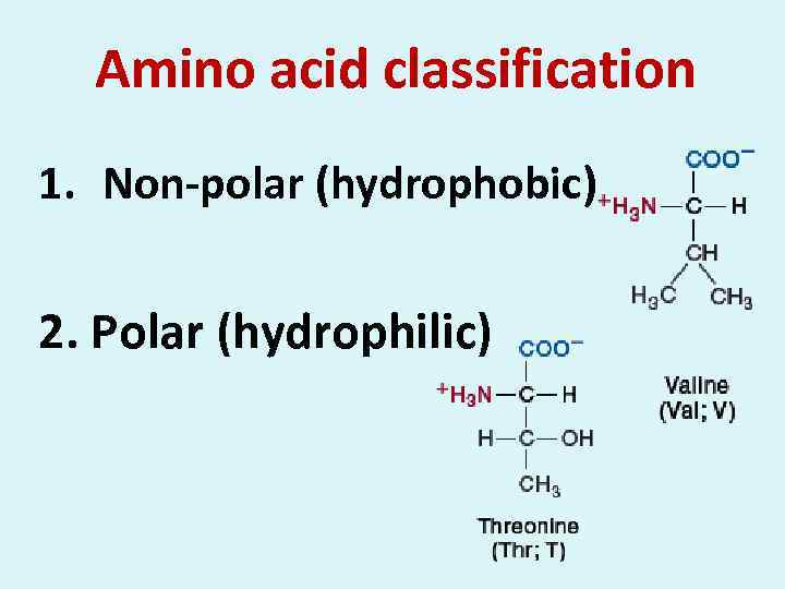 Amino acid classification 1. Non-polar (hydrophobic) 2. Polar (hydrophilic) 