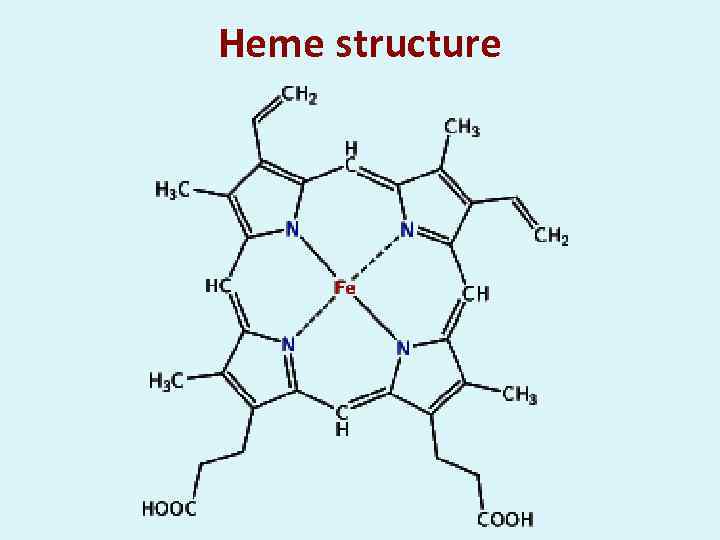 Heme structure 