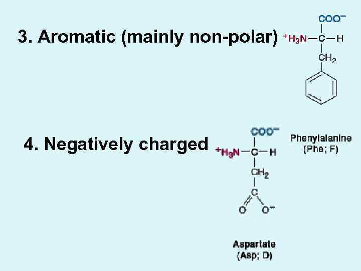 3. Aromatic (mainly non-polar) 4. Negatively charged 