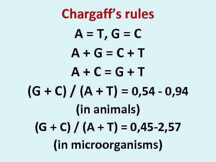 Chargaff’s rules A = T, G = C A + G = C +