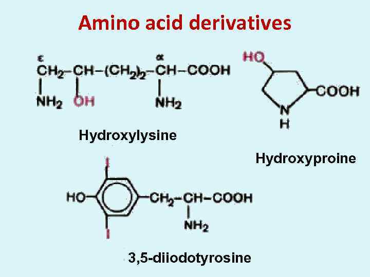 Amino acid derivatives Hydroxylysine Hydroxyproine 3, 5 -diiodotyrosine 