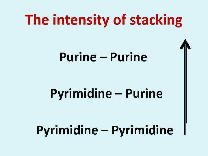 The intensity of stacking Purine – Purine Pyrimidine – Pyrimidine 