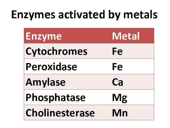 Enzymes activated by metals Enzyme Cytochromes Peroxidase Amylase Phosphatase Cholinesterase Metal Fe Fe Ca