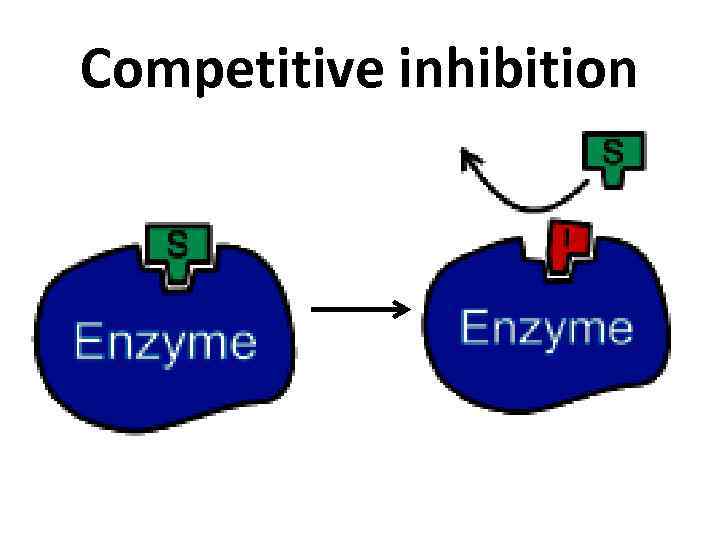 Competitive inhibition 