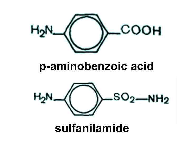 p-aminobenzoic acid sulfanilamide 