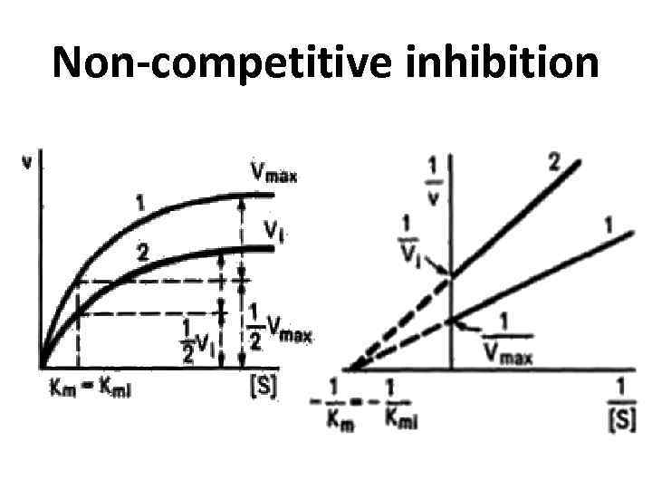 Non-competitive inhibition 