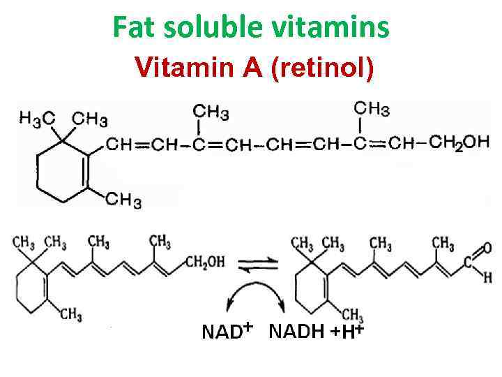 Fat soluble vitamins Vitamin A (retinol) 