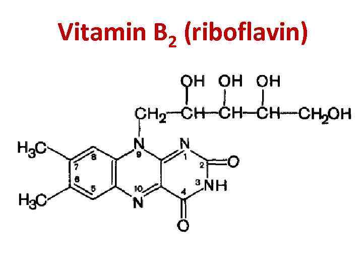 Vitamin B 2 (riboflavin) 