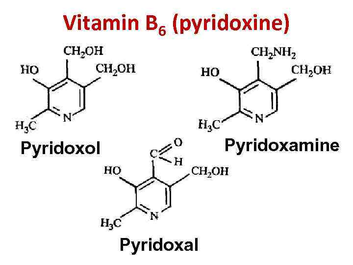 Vitamin B 6 (pyridoxine) Pyridoxamine Pyridoxol Pyridoxal 