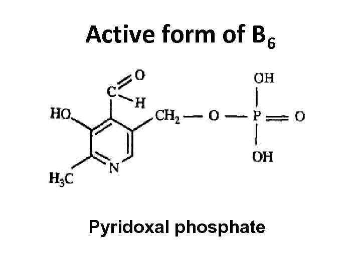 Active form of B 6 Pyridoxal phosphate 