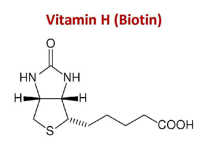 Vitamin H (Biotin) 