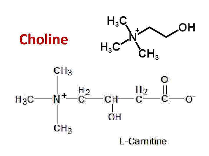 Choline 