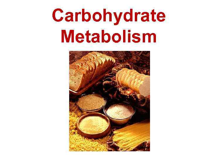 Carbohydrate Metabolism 