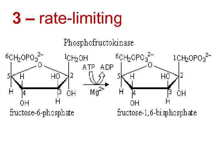 3 – rate-limiting 