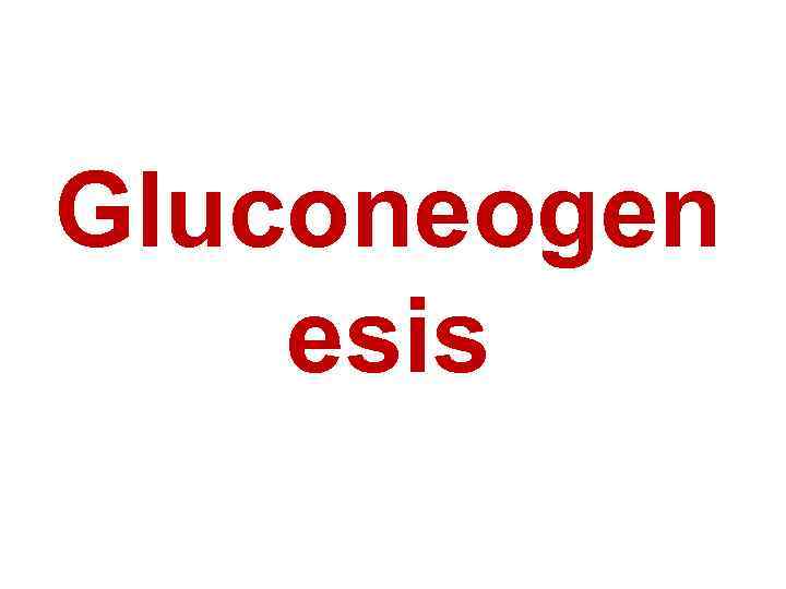 Gluconeogen esis 