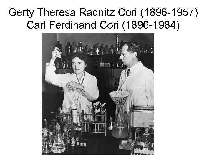 Gerty Theresa Radnitz Cori (1896 -1957) Carl Ferdinand Cori (1896 -1984) 