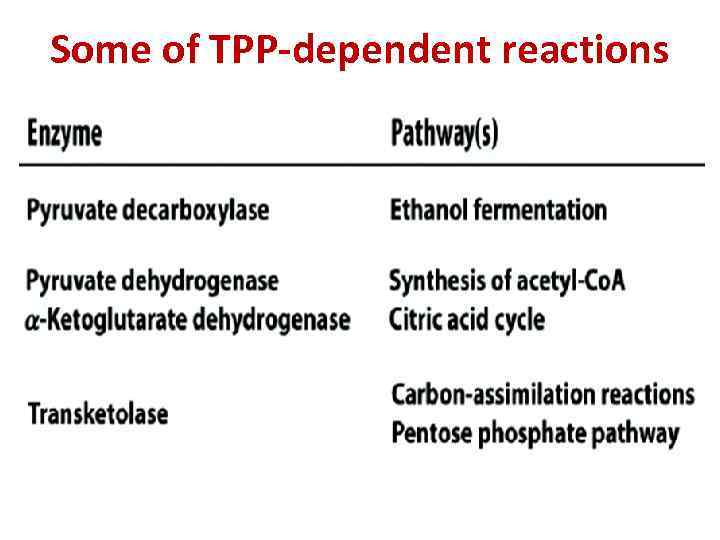 Some of TPP-dependent reactions 