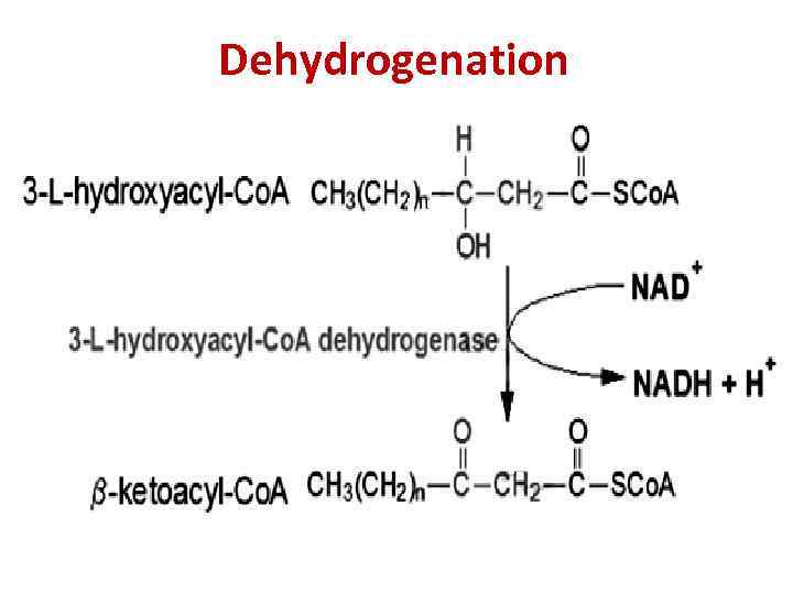 Dehydrogenation 