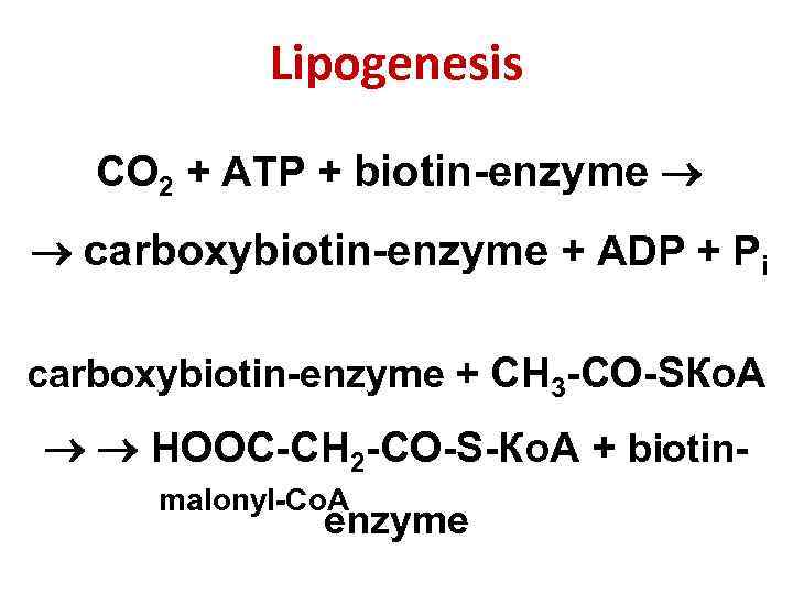Lipogenesis СО 2 + АТP + biotin-enzyme carboxybiotin-enzyme + АDP + Pi carboxybiotin-enzyme +