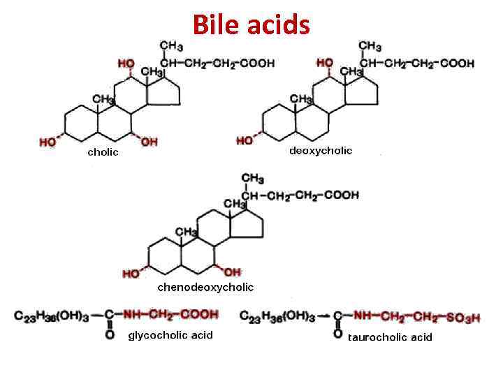 Bile acids 