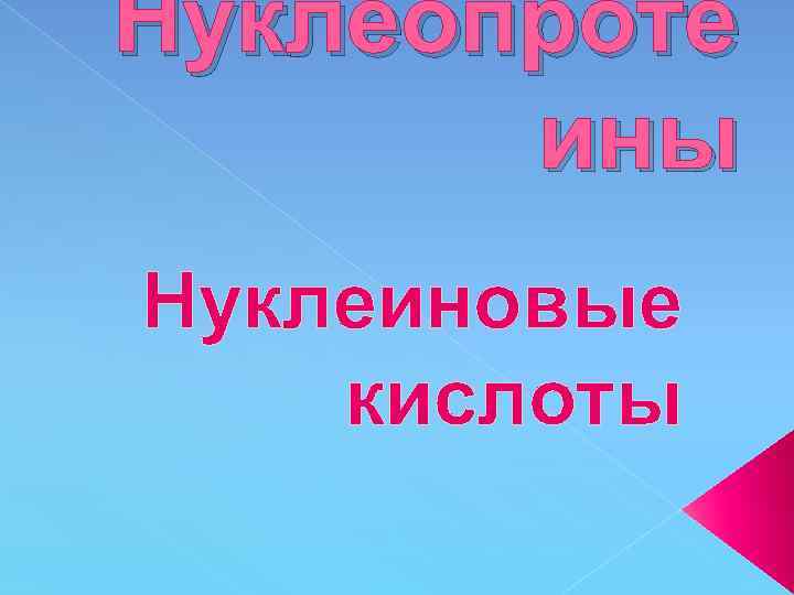 Нуклеопроте ины Нуклеиновые кислоты 