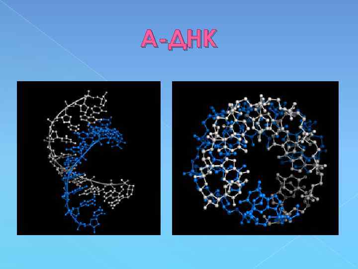 А-ДНК 