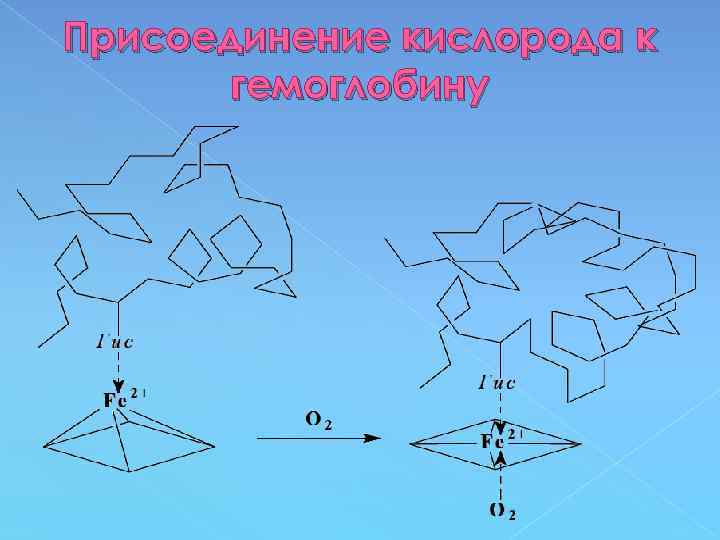 Присоединение кислорода к гемоглобину 