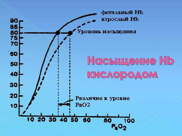 Насыщение Нb кислородом 