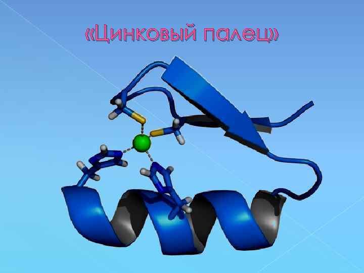  «Цинковый палец» 